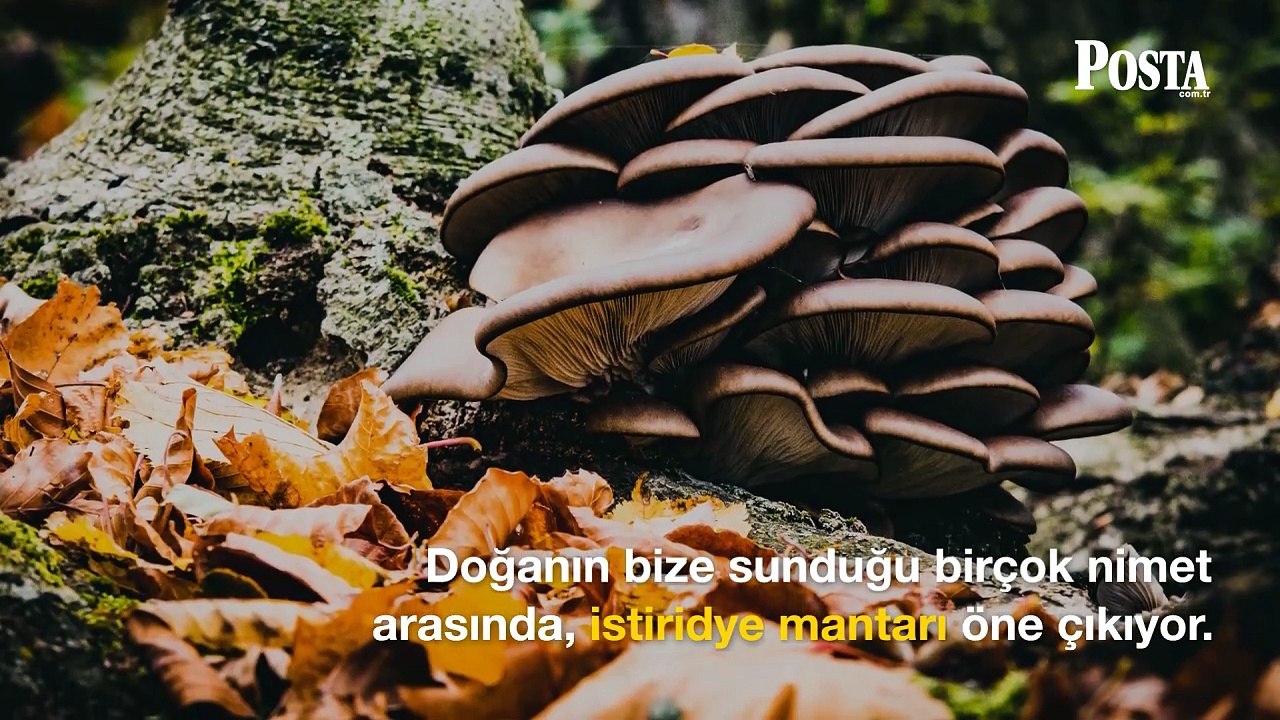 Tadı etle yarışıyor ve ondan daha çok protein içeriyor