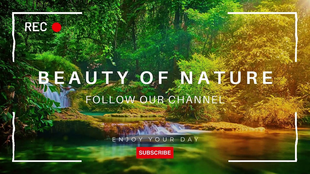 A হে আমাদের রব, নিশ্চয় আপনি মানুষকে সমবেত করবেন এমন একদিন, যাতে কোন সন্দেহ নেই। নিশ্চয় আল্লাহ প্রতিশ্রুতি ভঙ্গ করেন না।