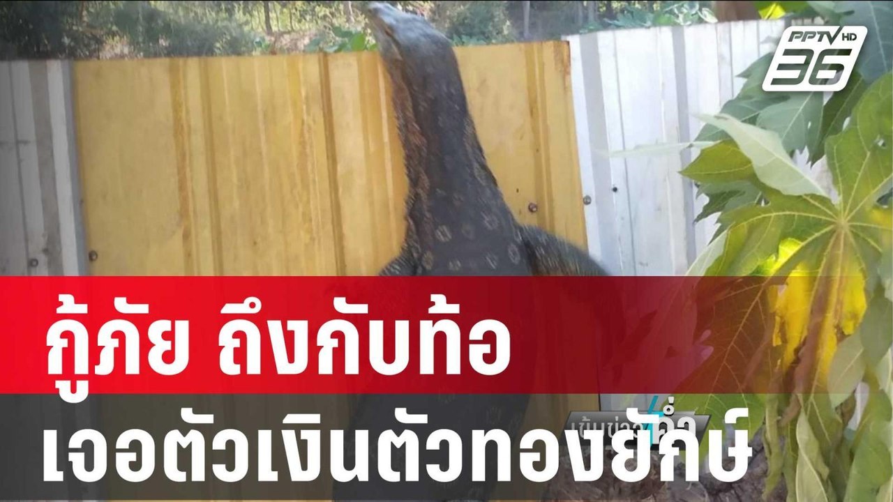 กู้ภัย อึ้ง! ถึงกับท้อ เจอตัวเงินตัวทองยักษ์ | เข้มข่าวค่ำ | 5 ม.ค. 67