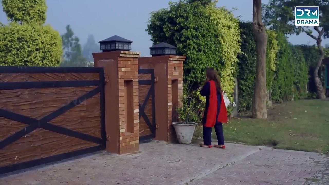 Mor Chaal Drama Episode 21 video Dailymotion