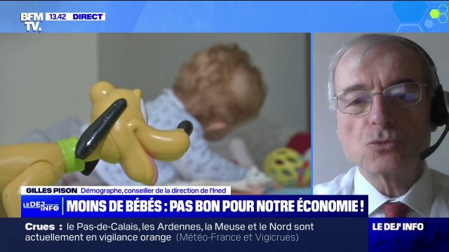 Moins de naissances: Il n'est pas exclu que cette période de baisse s'interrompe dans quelques années estime Gilles Pison, démographe