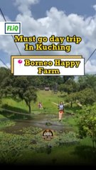 Keluarga Seru di Borneo Happy Farm 🌱