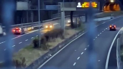 Colico, salta l'uscita: automobilista inverte la marcia e percorre la 36 contromano