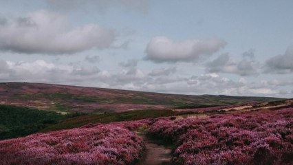 Nathan Evans - Heather On The Hill (Audio)