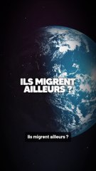 Qu'est-ce que qui arrive aux moustiques l'hiver ?!