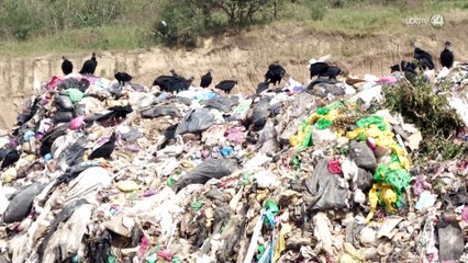 Empresa operadora de vertedero en Guzmán refuta Semadet: el sitio opera dentro de norma