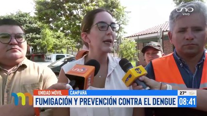 Fumigación y prevención contra el dengue