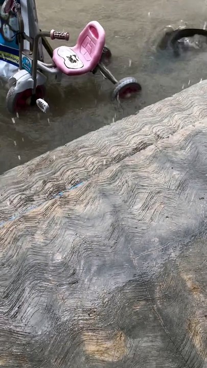 Monitor Lizard Startles Motorists During Flood