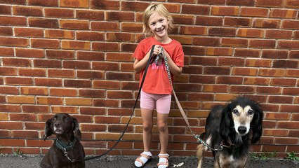 Generous Six-Year-Old Uses Own Money to Spoil Elderly Dogs