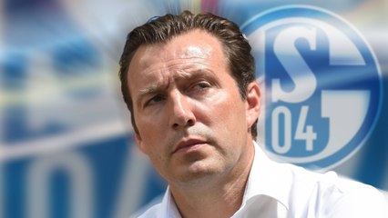 "Nur das Gesicht?": Was Wilmots' neue Rolle für Schalke bedeutet