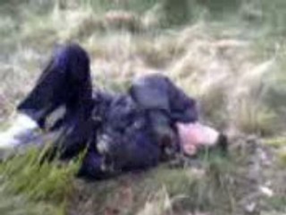 Encore une gamelle de plus !