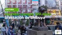 Hachiko cumple 100 años en la estación de Shibuya