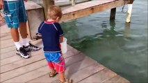 Cet enfant pensait nourrir des poissons mais attendez la suite
