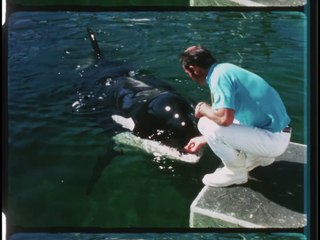 ABC DISCOVERY '69 'Taming the Killer Whale' with Bill Owen and Virginia Gibson