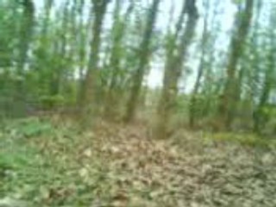 MOV00046