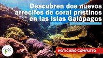 Descubren dos nuevos arrecifes de coral prístinos en las Islas Galápagos | 619 | 8-14 de enero 2024