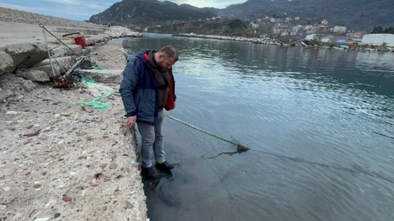 Fırtına sonrası limanda ilginç görüntü: Suda yü...