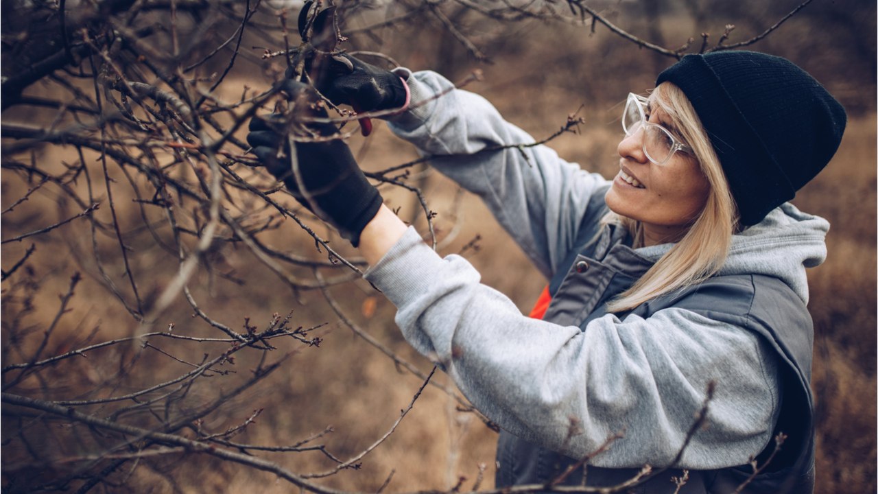 Gärtner aufgepasst: Vier Dinge, die Sie im Januar erledigen sollten