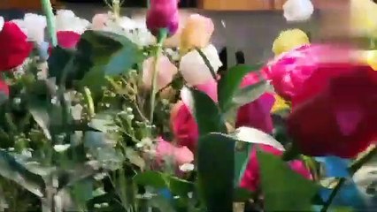 A R Rahman Surah - The Most Beautiful Voice Reciting Quran