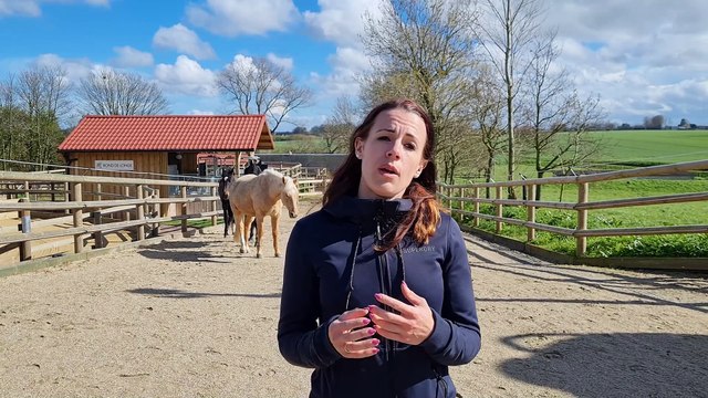 Le concept de l'écurie active : visite de l'écurie Le P'tit Haras à Graimbouville