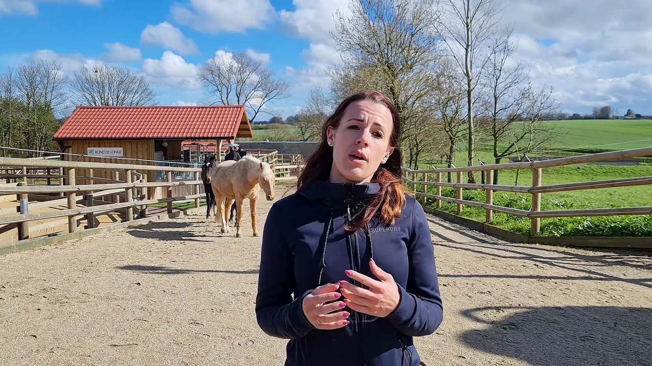 Le concept de l'écurie active : visite de l'écurie Le P'tit Haras à Graimbouville