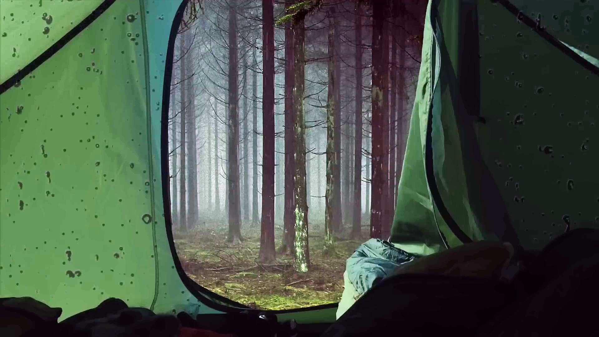 ⁣Rain on Tent Sounds for Sleep - 1 hour rain sound - Camping in the rain