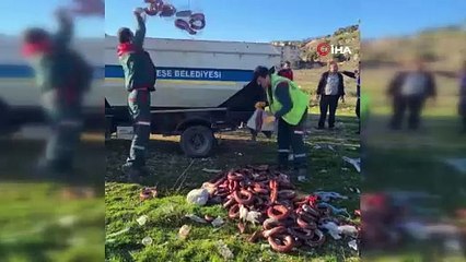 Yol kenarına atılan 100 kilo bozuk sucuk imha edildi