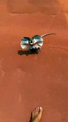 En algún lugar de Australia