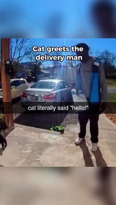 Funny cat dog animal videos on Instagram Tiktok #shorts #funnyanimals #مضحك