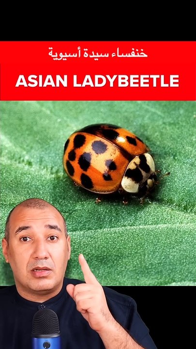 لو شفت الكائن ده اوعي تلمسه ..!!