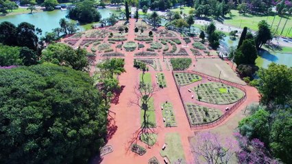 @ Brisbane Uncovered - Top Attractions worth Visiting