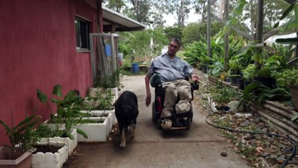 Ecologist and developer work to save glossy black cockatoo habitat