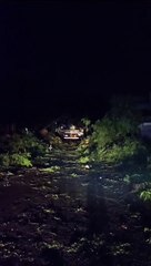 Chuva em Maringá causa queda de árvores, derruba postes e deixa região sem energia