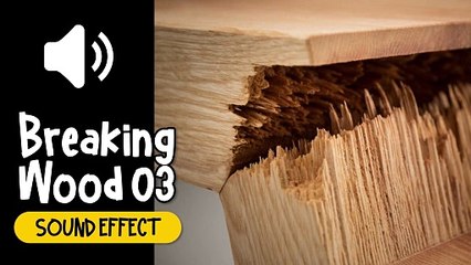 Breaking Wood #03 Sound Effect