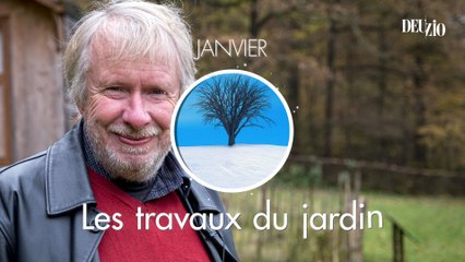 Travaux du jardin - 6 janvier 2024 : les azalées d'intérieur