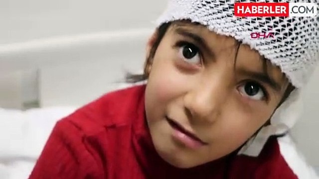 Erzurum'da Sokak Köpeklerinin Saldırısına Uğrayan 8 Yaşındaki Kız Çocuğu Yaralandı