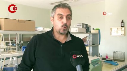 Uzmanlardan balon balığı uyarısı: 'Hayatınızı riske atmayın!'