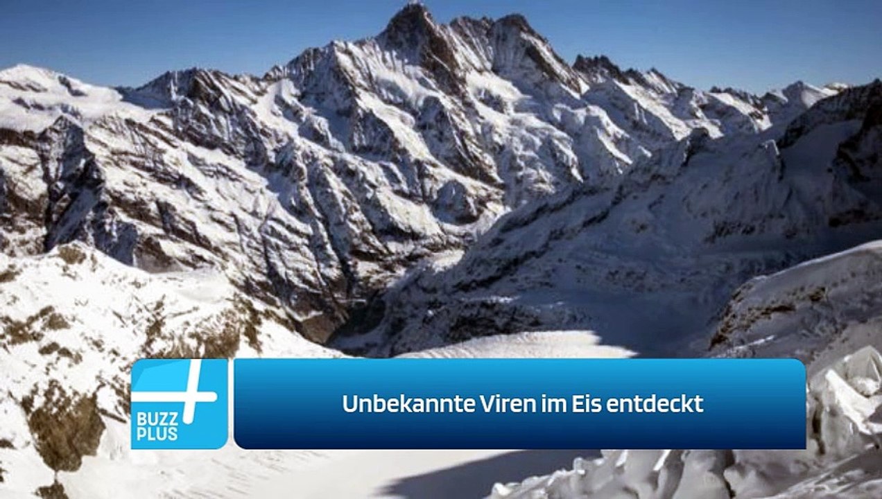 Unbekannte Viren im Eis entdeckt