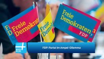 FDP: Partei im Ampel-Dilemma