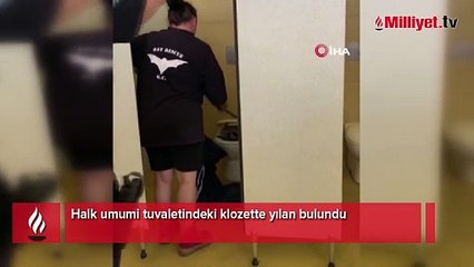 Korku dolu anlar: Halk tuvaletinden yılan çıktı!
