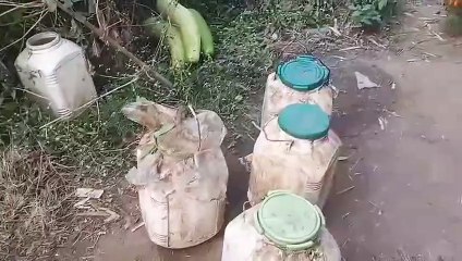 ग्राम खड़देवरा व घुघरा में कच्ची शराब जब्त, दो पर हुई कार्रवाई
