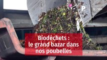 Biodéchets : le grand bazar dans nos poubelles