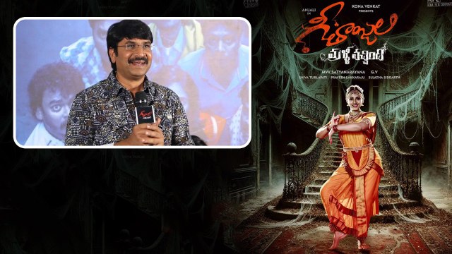 Geethanjali Malli Vachhindi Movie Press Meet శ్రీనివాస్ కామెడీ స్పీచ్ | Telugu Filmibeat