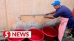 Penangites geared up for water disruption
