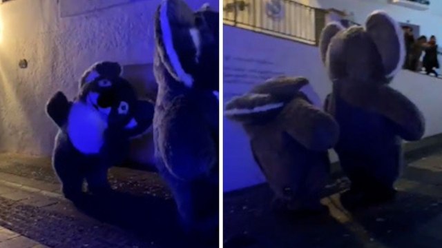 Nuevo viral de la noche de Reyes: de los creadores del oso polar desnucado, llega el koala en Málaga