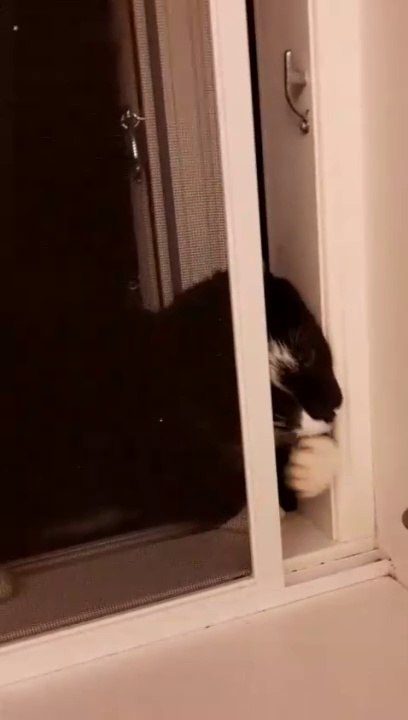 Moritz kommt durch das Fenster um Leckelis zu bekommen