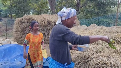 " जाते " क्या है और क्यों किया जाता है  | Ho Adivasi Tribal rituals 