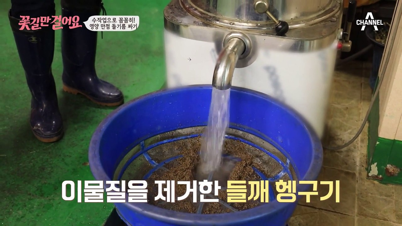 모든 게 다 수작업?! 영양 만점 들기름 제조 과정☆