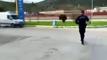 Minibüs arkasında sucuk yıkayan 3 kişiye gözaltı!