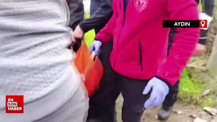 Aydın'da dağda ot toplarken ayağını kıran kişi, hastaneye kaldırıldı